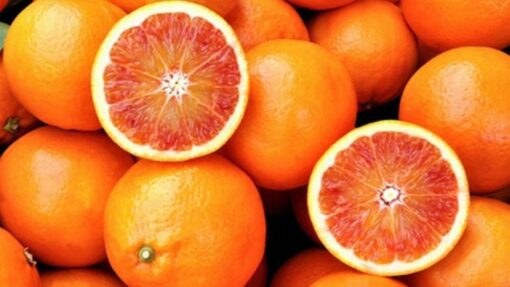 arance tarocco siciliane