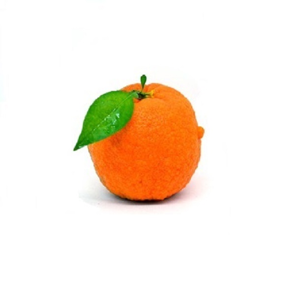 arancia amara