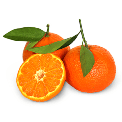 clementine nova