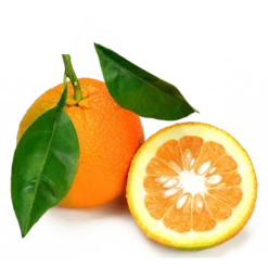 arancia amara subito arance