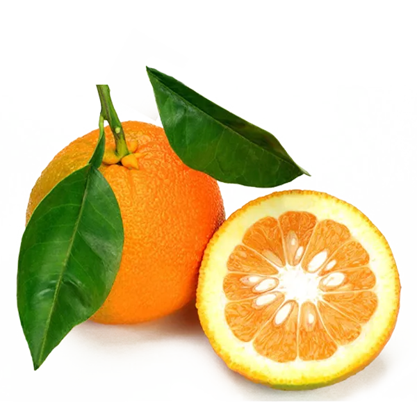 arancia amara subito arance