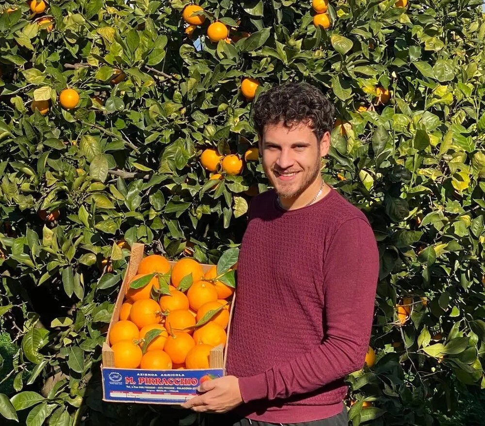 arance dal produttore