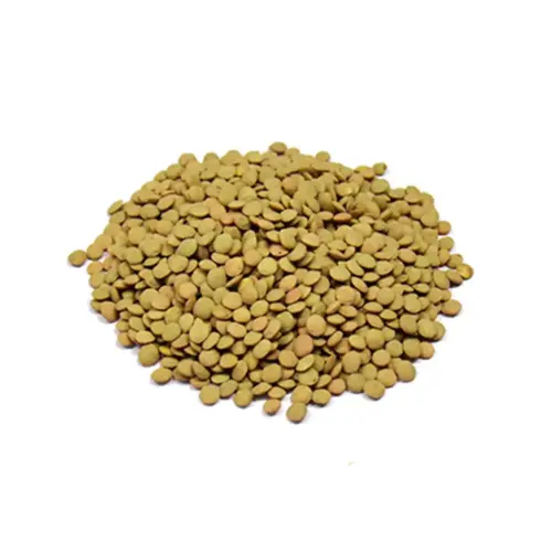 lenticchie