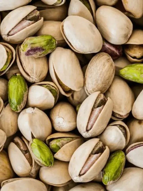 pistacchi